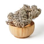 כף מרים (גדולים)